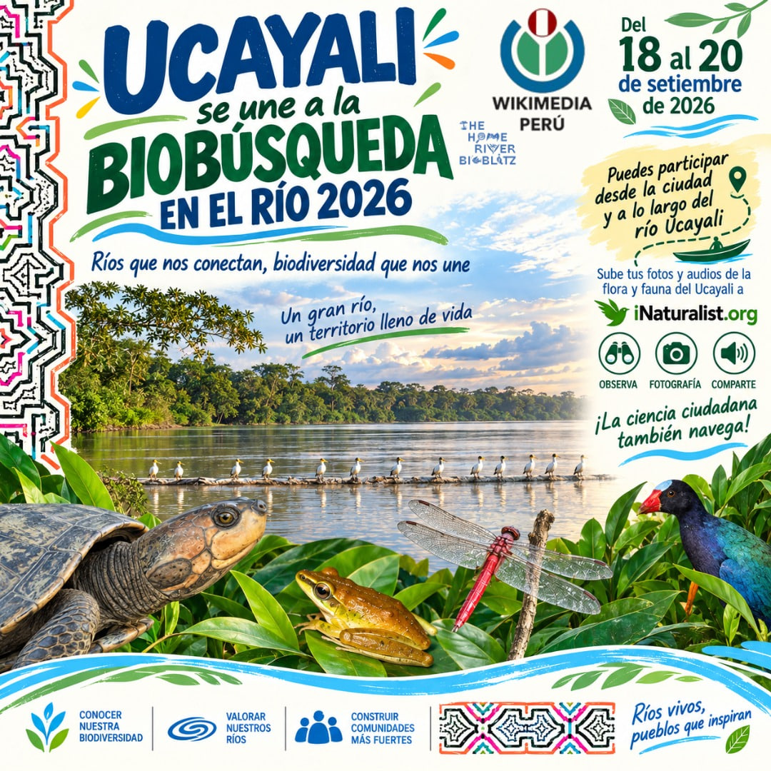 Biobúsqueda en el río Ucayali